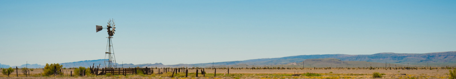 windmill in the distance