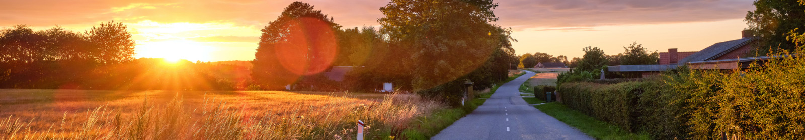 road at sunset